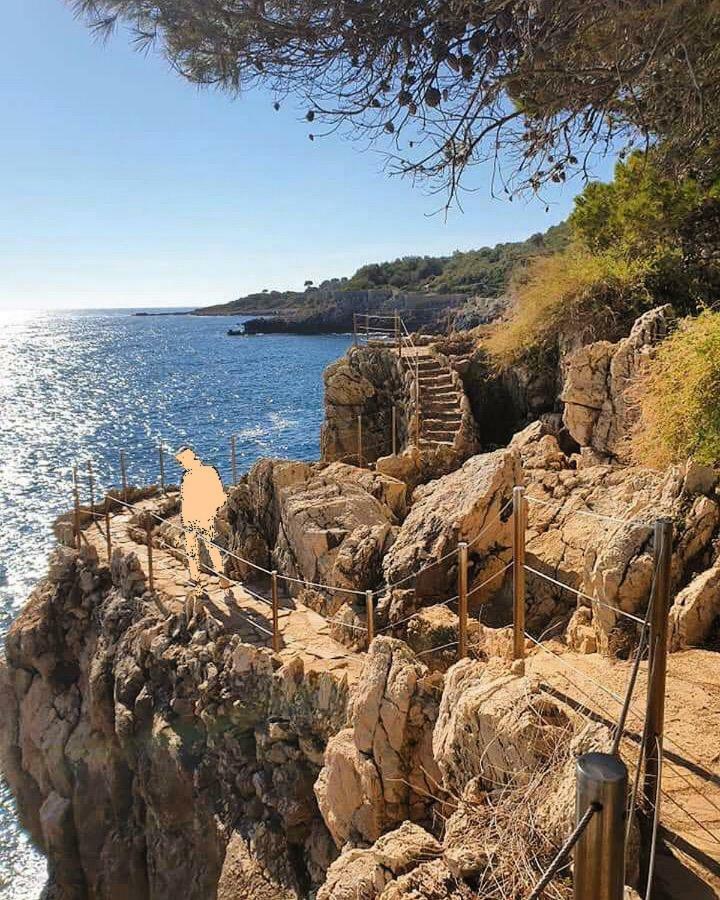 Appartement 32M2 Juan Les Pins 350 M Plage Climatise Wifi Centre Exterior foto